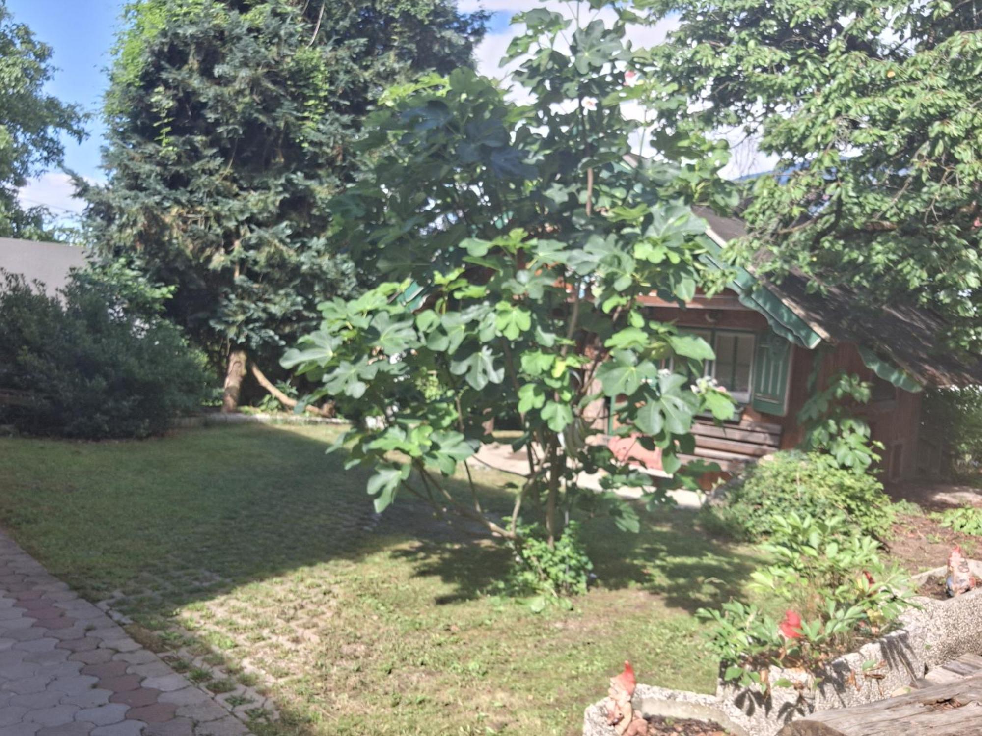 Lieserbrücke Ganzes Haus Mit Almcharakterヴィラ エクステリア 写真
